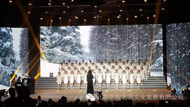 中视艺宣助力“首届50+艺术节”在京举办-9